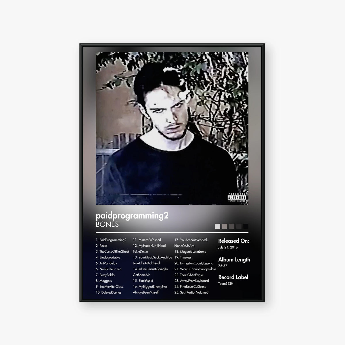 BONES — PaidProgramming2 Album Poster — Blur frame mockup