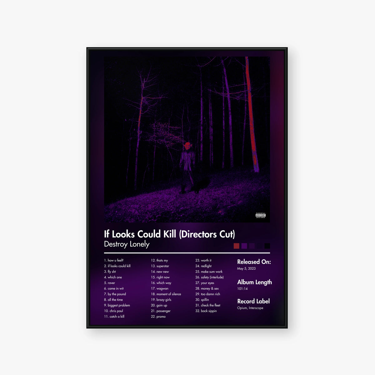 Destroy Lonely — If Looks Could Kill Directors Cut Album Poster — Blur frame mockup