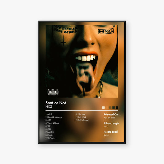 Homixide Gang — Snot or Not Album Poster — Blur frame mockup