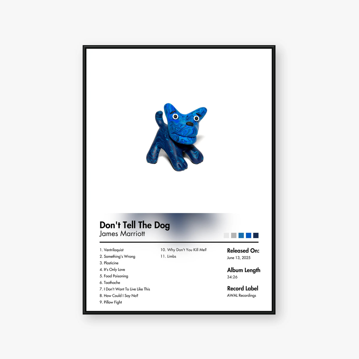 James Marriott — Don't Tell The Dog Album Poster — Blur frame mockup