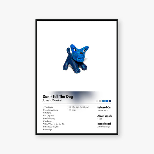 James Marriott — Don't Tell The Dog Album Poster — Blur frame mockup