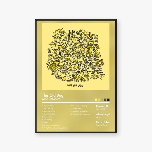 Mac DeMarco — This Old Dog Album Poster — Blur frame mockup