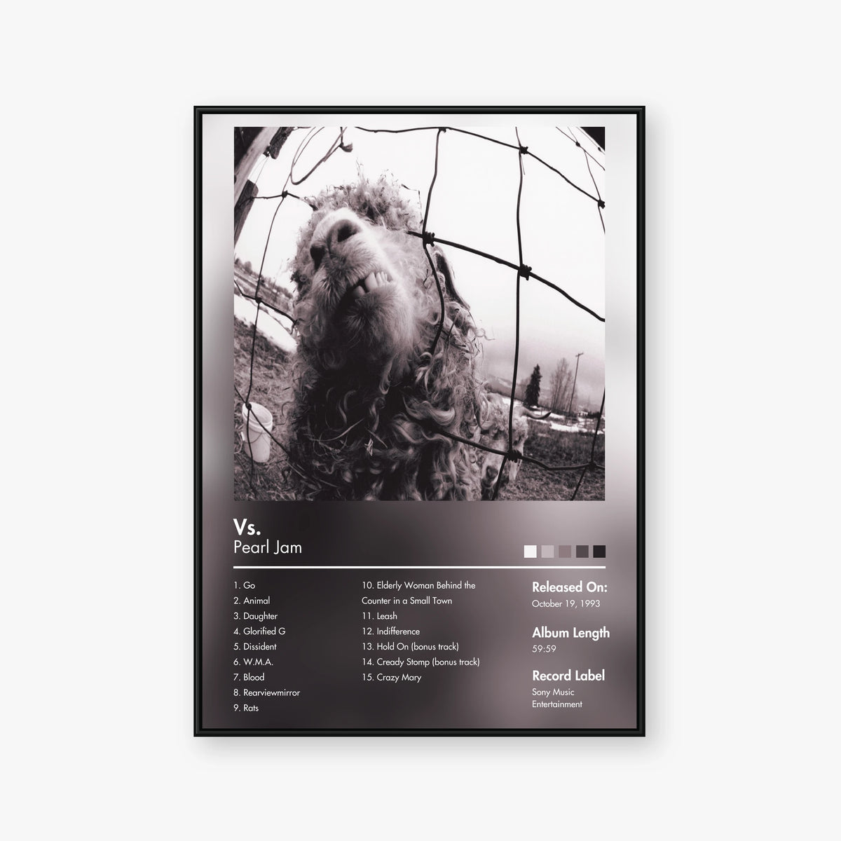 Pearl Jam — Vs. Album Poster — Blur frame mockup