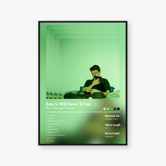 Rex Orange County — bcos u will never b free Album Poster — Blur frame mockup