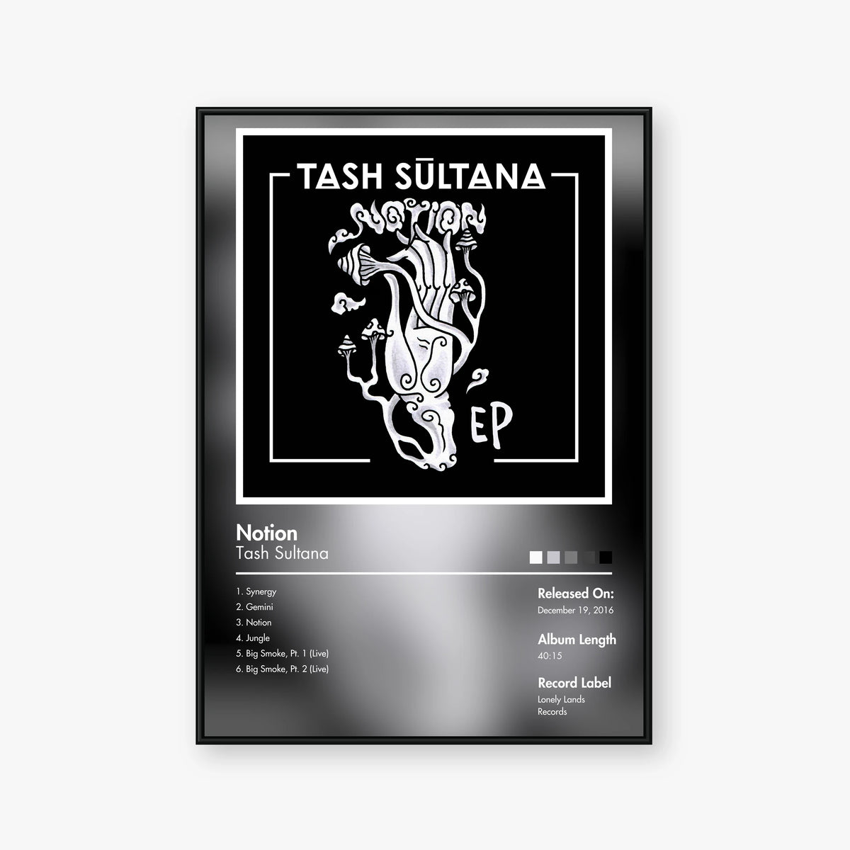 Tash Sultana — Notion Album Poster — Blur frame mockup