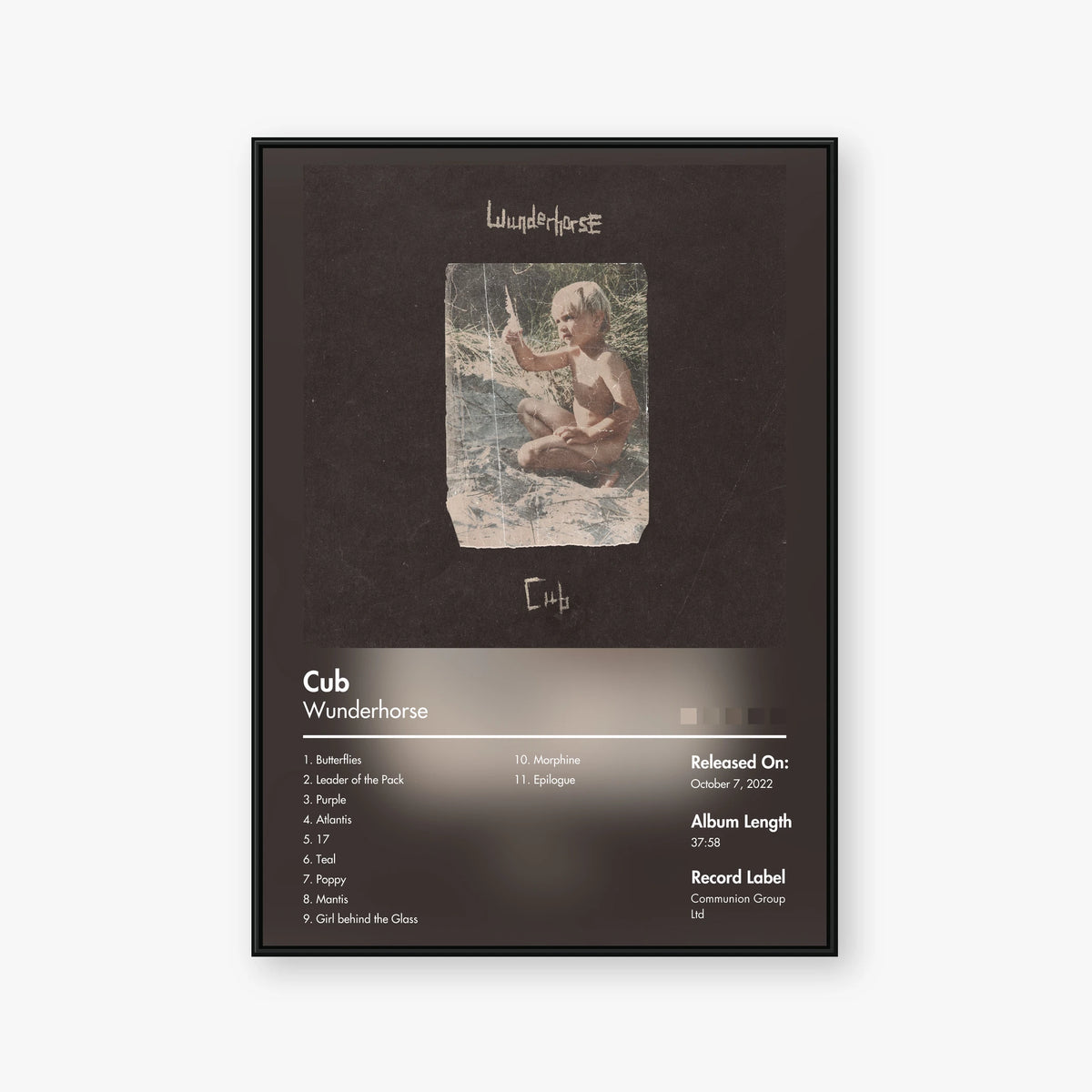 Wunderhorse — Cub Album Poster — Blur frame mockup