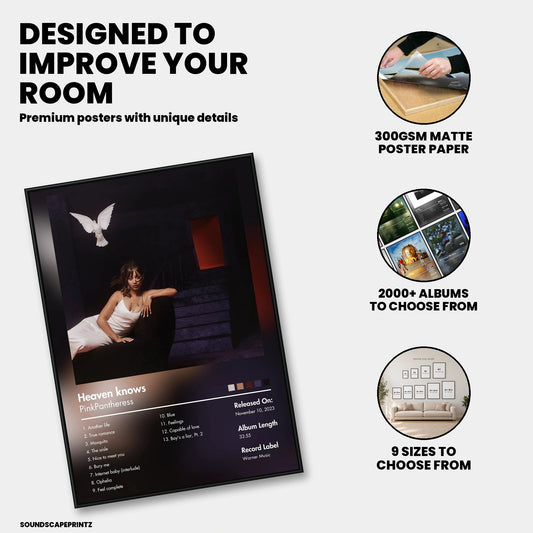 PinkPantheress — Heaven Knows Album Poster — premium poster features